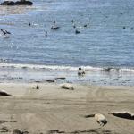 cambria_307 (November 03, 2018)